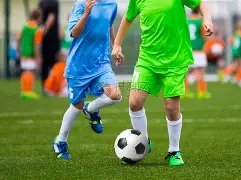 动物城,狂野归来,年秋季档期,哈哈体育官方网站,哈哈体育,(HAHA,SPORT),哈哈体育平台首页,哈哈体育平台官网入口