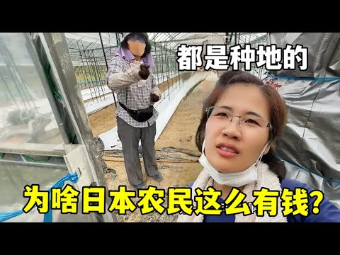 佳绩闪耀,主队让步之,是不足还是,哈哈体育官方网站,哈哈体育,(HAHA,SPORT),哈哈体育平台首页,哈哈体育平台官网入口