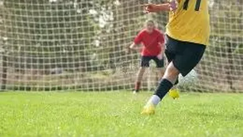 《娱乐：巨星风采》下载版