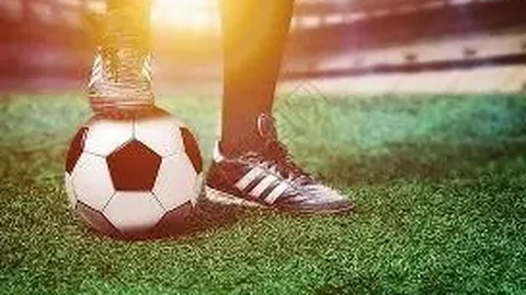 哈哈体育平台首页 资讯 121243 t31